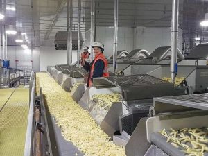 frozen french fries production line manufacturer