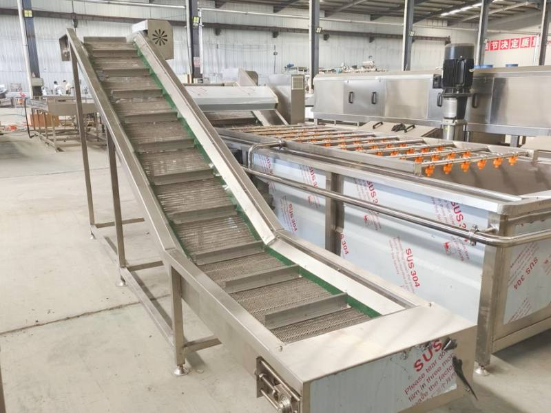 French Fry Production Line in Asia