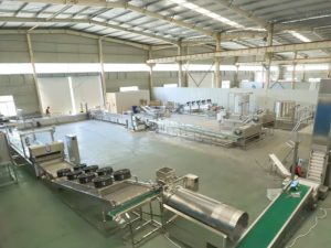 French Fries Making Machine Factory