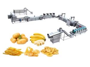 Ligne de production de frites surgelées de 600 kg/h