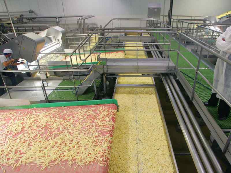 French Fries Processing Line in Europe